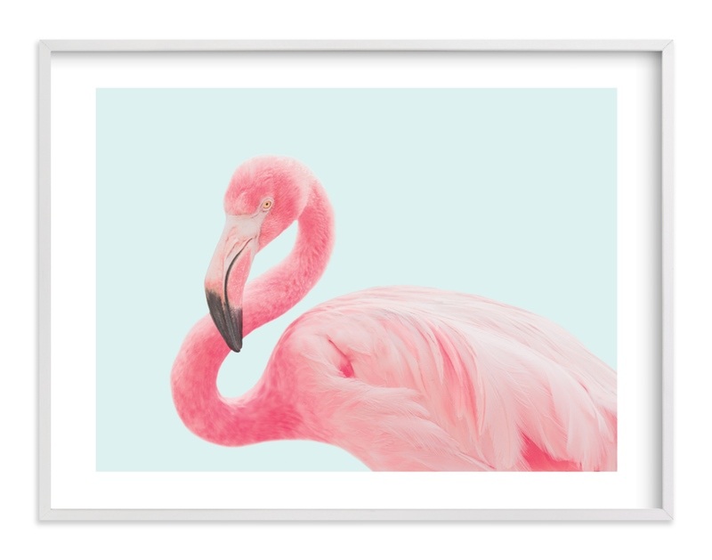 Flamingo Portrait iii