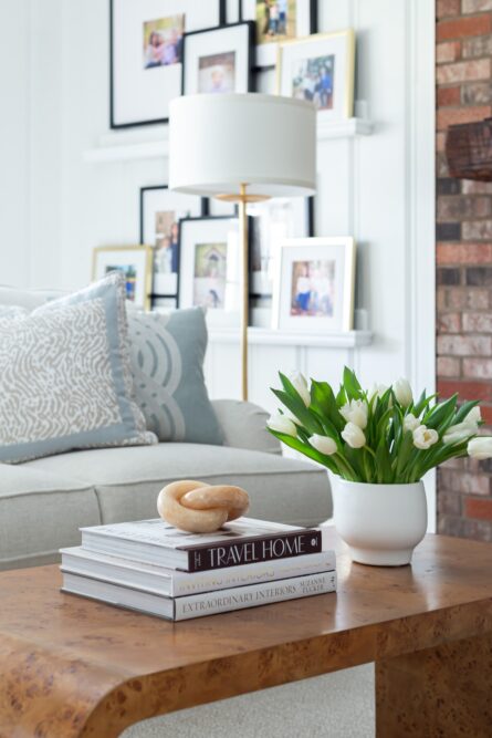 denver-co-interior-designer-jana-donohoe-designs-2